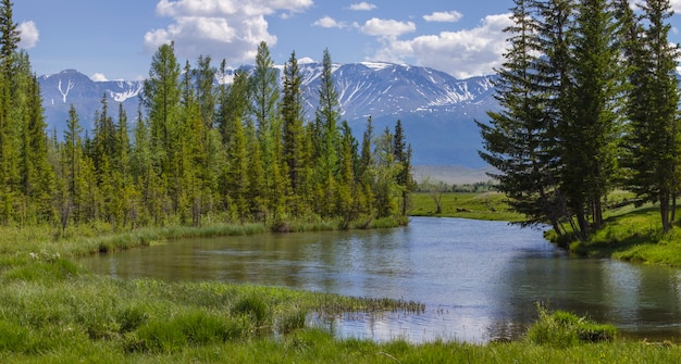 Rivière avec un débit calme sur fond de montagnes, voyage d'été