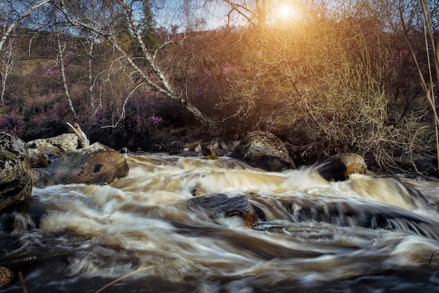 Rivière à débit rapide de montagne, eau courante entre les rochers au soleil. Paysage de printemps avec de grosses pierres dans le ruisseau rapide.