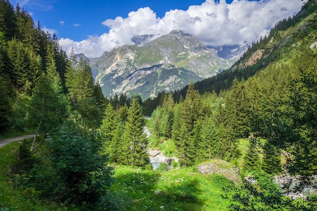 Rivière Doron dans le parc national de la Vanoise vallée alpine Savoie Alpes françaises