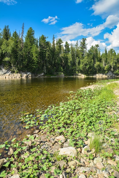 Rivière du Nord un jour d'été