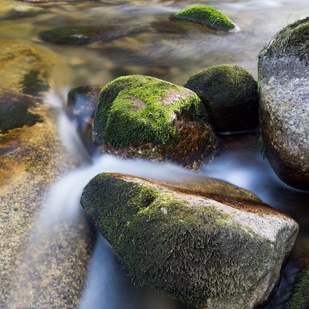 La rivière avec de l&#39;eau blanchie