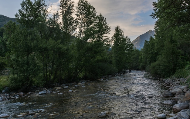 Rivière entourée d&#39;arbres en heure d&#39;or