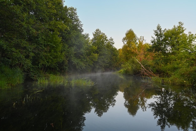 La rivière est couverte de brouillard matinal au lever du soleil entouré d'une forêt verte et dense Nature sauvage Vacances actives de week-end nature sauvage en plein air