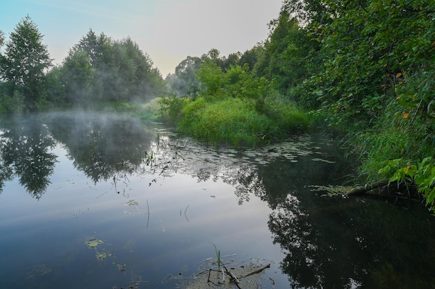 La rivière est couverte de brouillard matinal au lever du soleil entouré d'une forêt verte et dense Nature sauvage Vacances actives de week-end nature sauvage en plein air