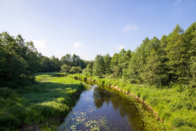 rivière en été