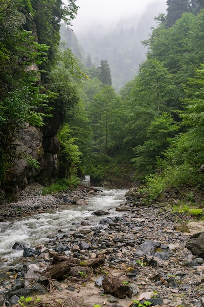 Rivière Firtina dans le nord de la Turquie