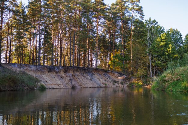 Rivière forestière en automne Vue depuis l'eau