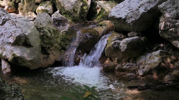 Rivière forestière avec cascade en pierres avec eau qui coule