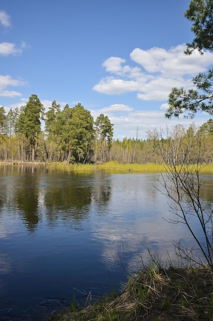 Rivière forestière en mai