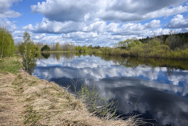 Rivière forestière en mai