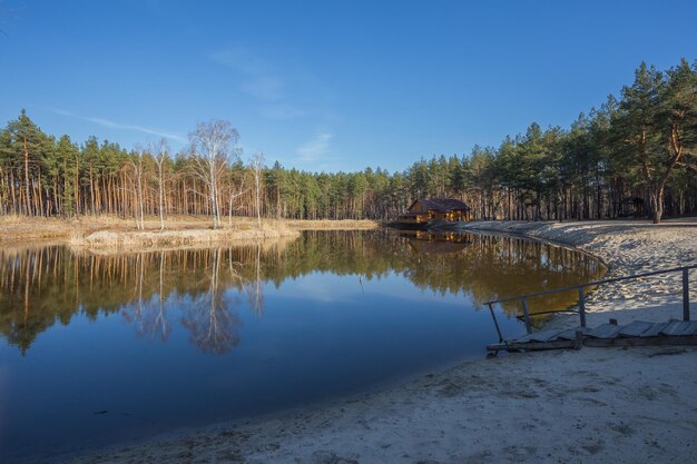 Rivière et forêt printanière.