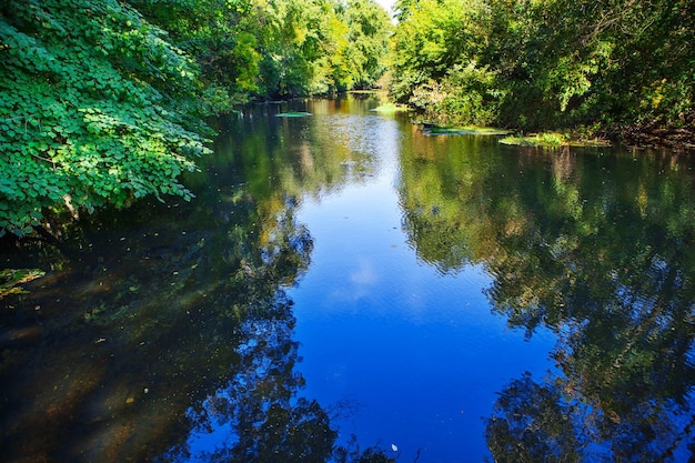 Photo rivière en forêt