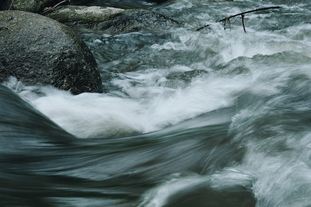 Rivière forte en forêt