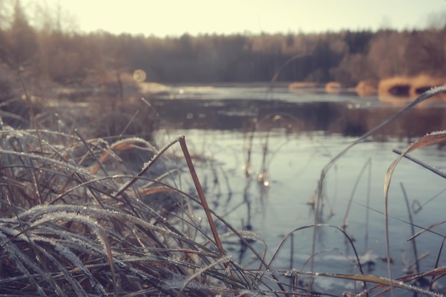 rivière gelée novembre décembre, paysage saisonnier dans la nature hiver