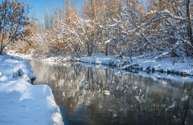 Rivière d'hiver et arbres en saison