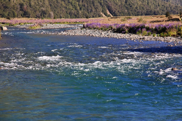 Photo rivière, de, île sud, nouvelle zélande