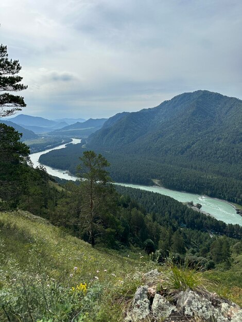 Photo rivière katun altay sibérie