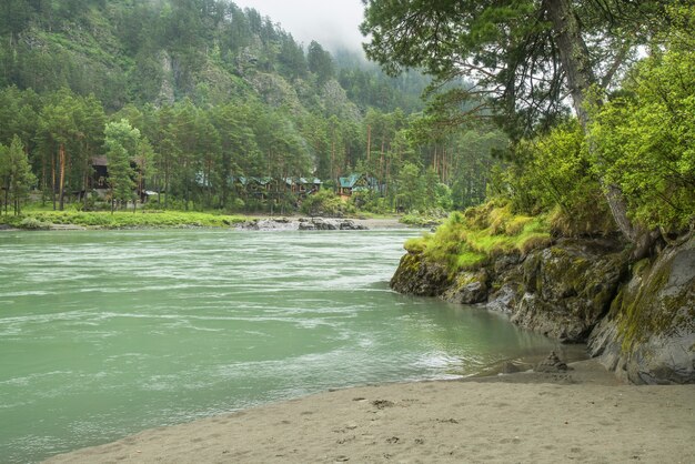 La rivière Katun dans les montagnes de l'Altaï un matin d'été