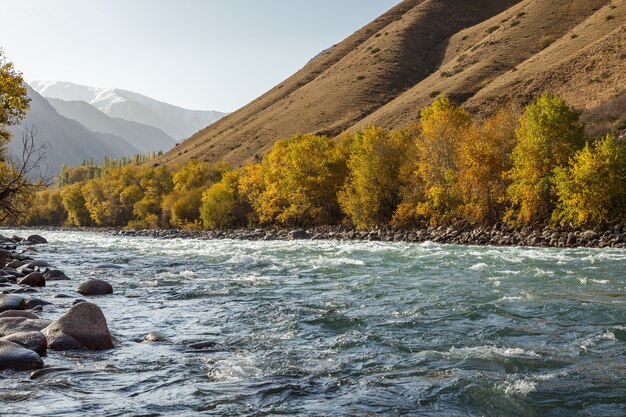 Rivière Kokemeren, district de Jumgal, Kirghizistan