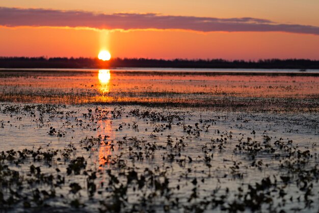 Rivière à la lumière du lever du soleil