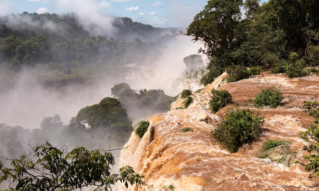 Rivière menant aux chutes d'Iguassu