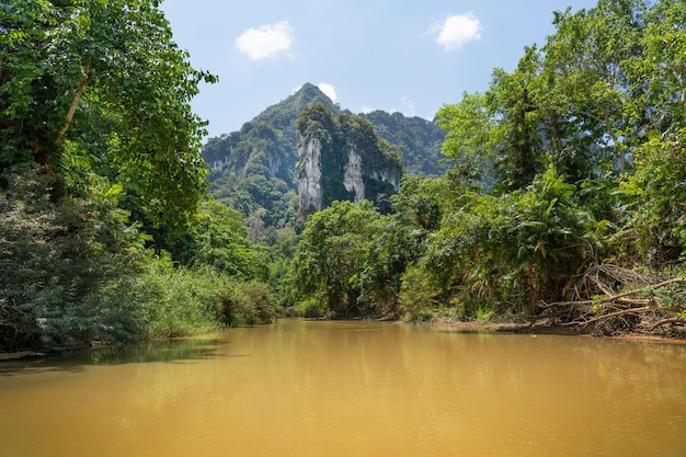 Une rivière avec une montagne en arrière-plan