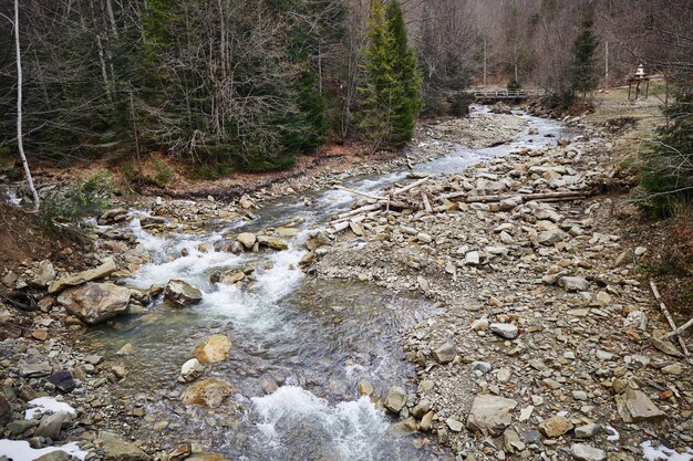 Rivière de montagne au début du printemps