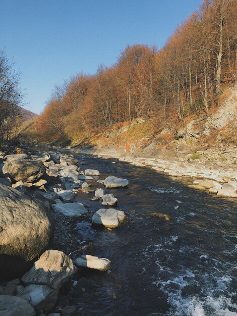 Rivière de montagne à l'automne Yaremche Ukraine