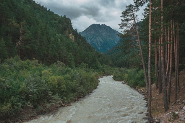 Rivière de montagne Baksan, ravin Adyr-Su, région d'Elbrus, Grand Caucase