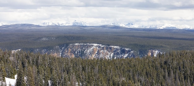 Rivière et montagne de champ vert dans le paysage américain