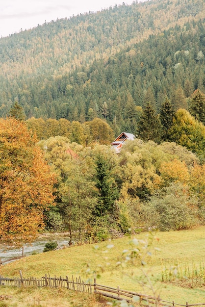 Une rivière de montagne dans les Carpates ukrainiennes