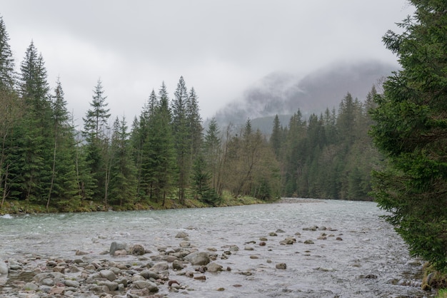 Rivière de montagne dans les hautes Tatras, Pologne