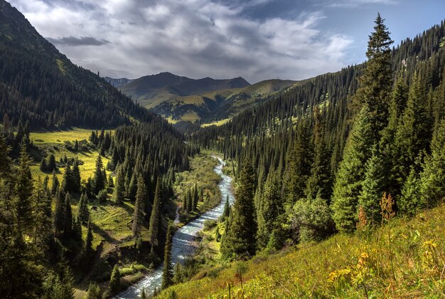 Rivière de montagne dans les montagnes vertes