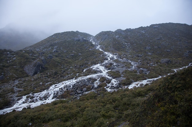 Rivière de montagne dans la vallée de Kyanjin Gompa