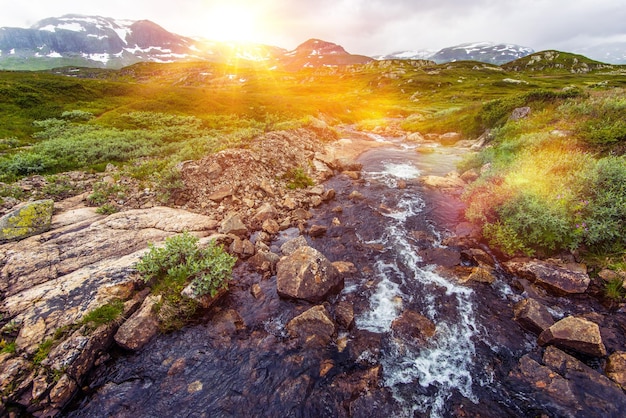 La rivière de la montagne de l'eau de source