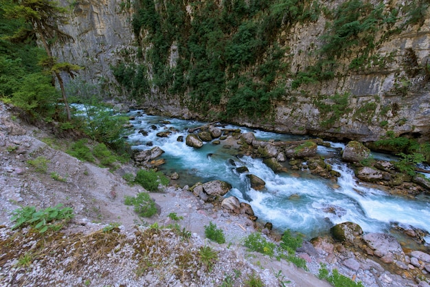 Rivière de montagne entre des falaises abruptes