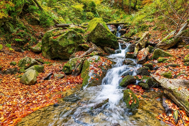 Rivière de montagne avec des feuilles d'automne