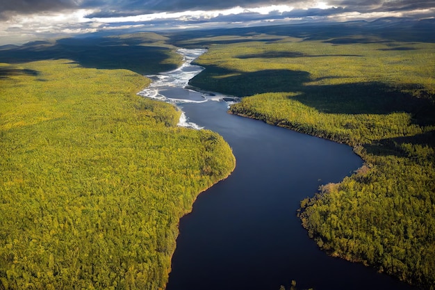 Rivière de montagne froide et rapide qui coule parmi les berges vertes couvertes d'herbe