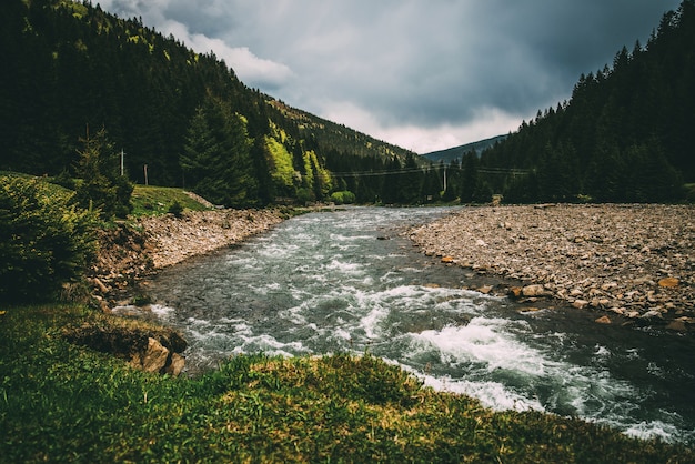 Rivière de montagne avec de l'herbe pierres arbres nuages gris eau rapide