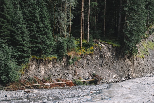 Rivière de montagne inondée