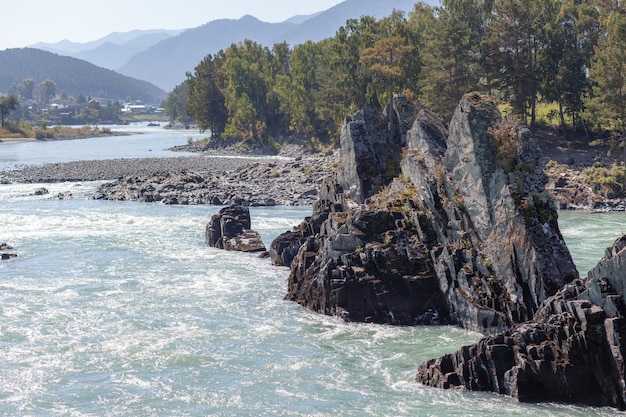 Une rivière de montagne large et pleine à écoulement rapide. De gros rochers dépassent de l'eau. Rivière de grande montagne Katun, couleur turquoise, dans les montagnes de l'Altaï, République de l'Altaï.