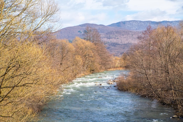 Rivière de montagne orageuse avec des pierres Courant fort