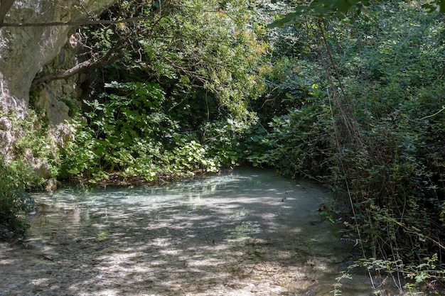 Rivière de montagne par une journée ensoleillée