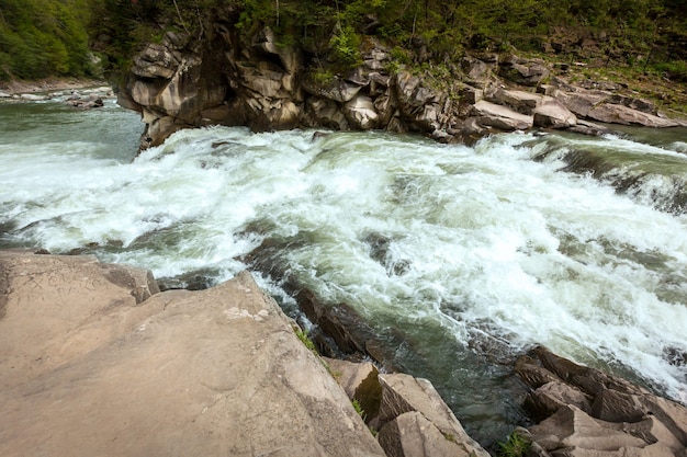 Rivière de montagne. Paysage du débit d'eau de montagne dans la forêt.