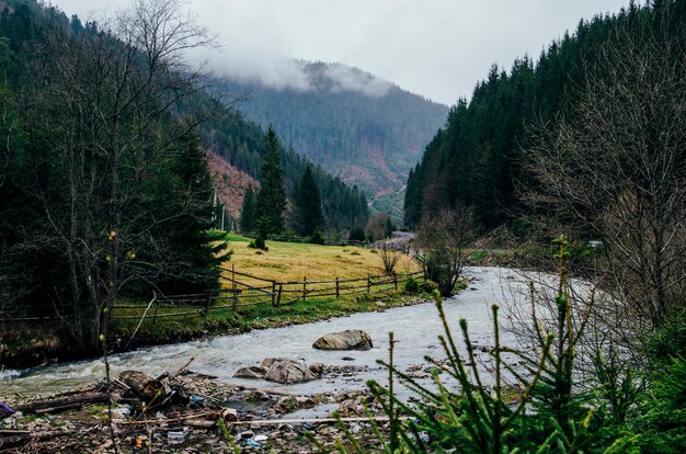 Rivière de montagne avec des pierres d'herbe arbres nuages gris avec des ordures