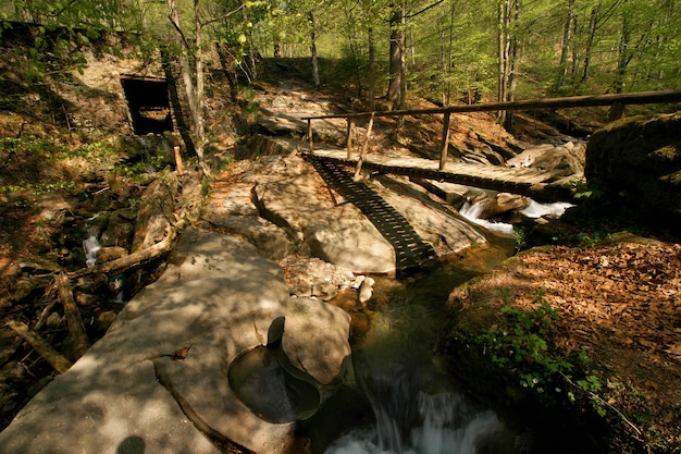 Rivière de montagne avec pont en bois au printemps