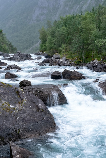 Rivière de montagne qui coule à travers la forêt verte