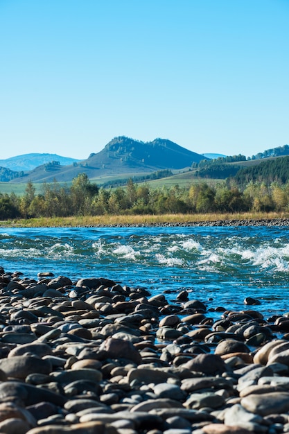 Rivière de montagne rapide à Altay