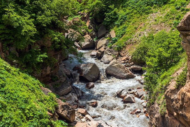 Rivière de montagne rapide dans la gorge