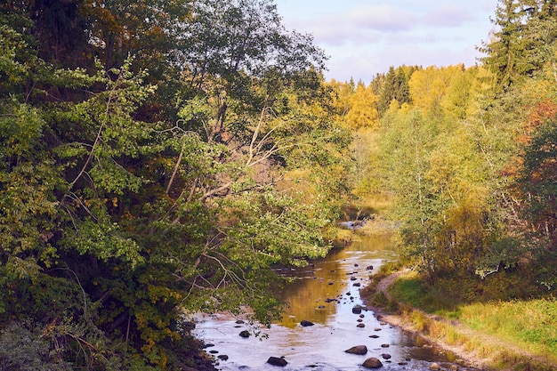 Une rivière de montagne rapide dans les montagnes en automne